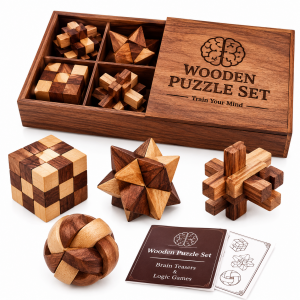 Puzzle and Brain Teaser Toys