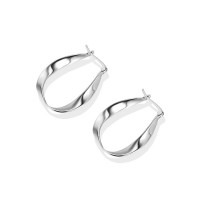 Sterling Silver Earrings Mobius Niche