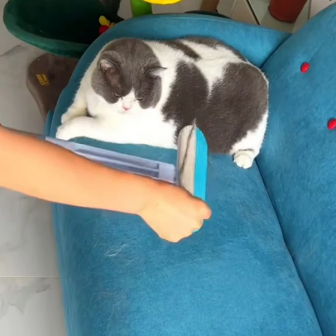 4-in-1 Pet Hair Remover Brush