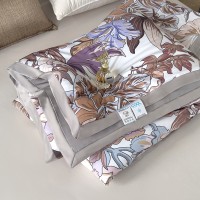 Summer Washed Silk Summer Blanket Single Double