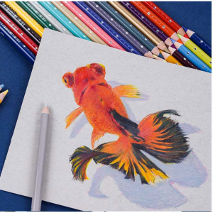 Art Supplies Drawing Sketch Colored Soft Core Color Pencil