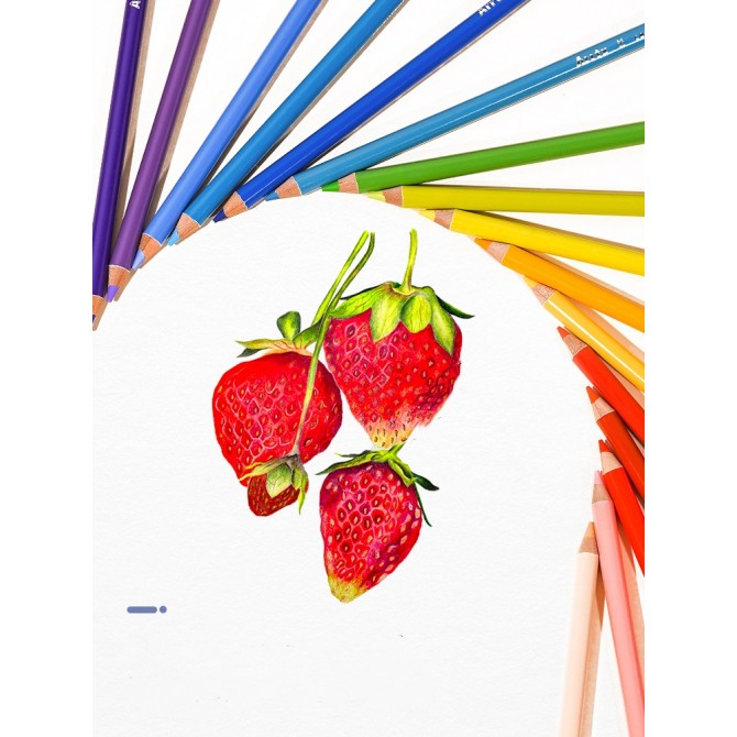 Art Supplies Drawing Sketch Colored Soft Core Color Pencil