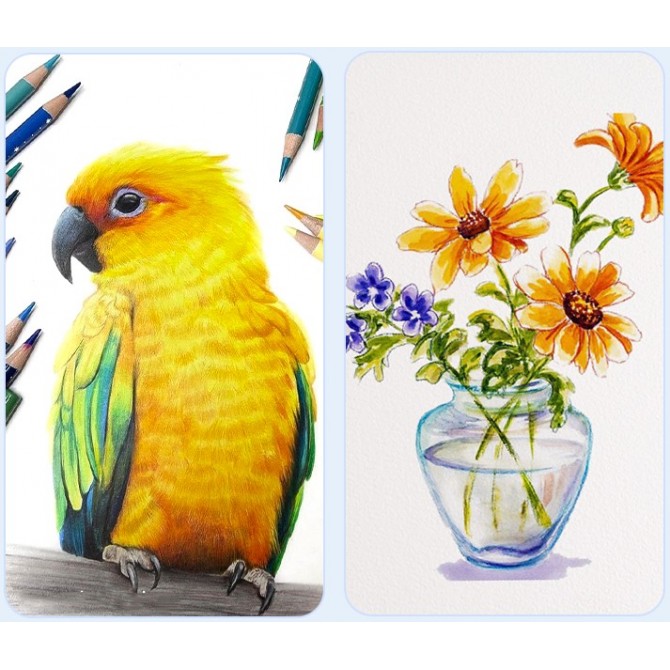 Art Supplies Drawing Sketch Colored Soft Core Color Pencil