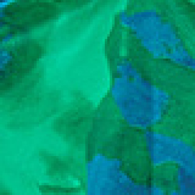 Halter Slimming Temperament Printed Sleeveless Hollow-out Camisole Long Dress Women