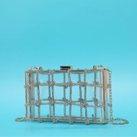Ladies Dinner Bag Shiny Acrylic Transparent