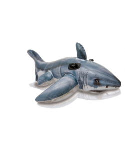 Children's inflatable toys on water