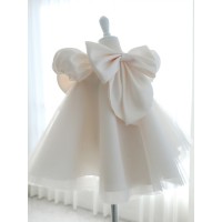 Summer Children's Princess Dress
