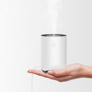 Night Light Humidifier Spray Diffuser Home Decoration