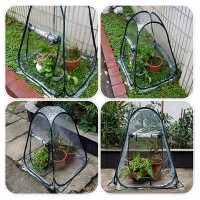 Outdoor Garden Plants And Flowers Antifreeze Greenhouse