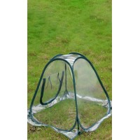 Outdoor Garden Plants And Flowers Antifreeze Greenhouse