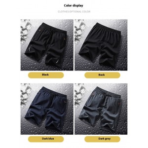 Quick-drying Shorts Men's Summer Thin Loose Plus Size Shorts Fat Outer Wear Running Sports And Leisure Pants Men