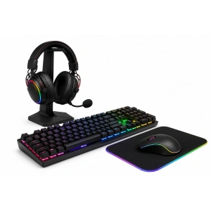 Gaming Accessories