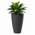 Garden Containers and Pots
