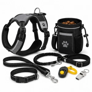 Walking and Training Equipment