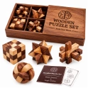 Puzzle and Brain Teaser Toys